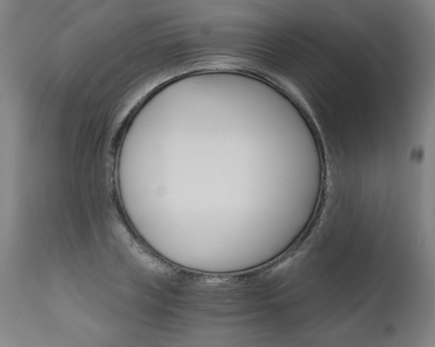 X0000110870835200906181007
