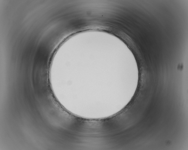 X0000110870836200906181007