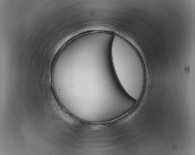 X0000110870837200906181007
