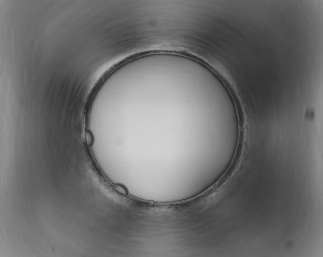 X0000110870838200906181007