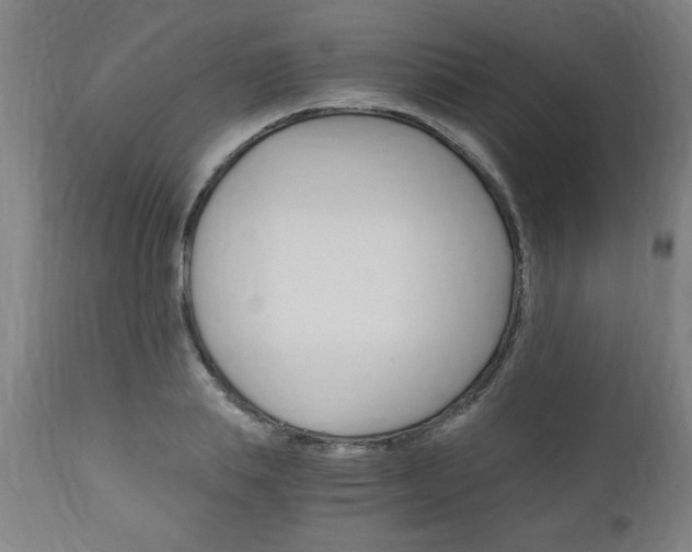 X0000110870839200906181008