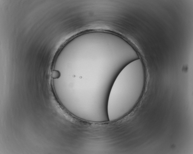 X0000110870840200906181008