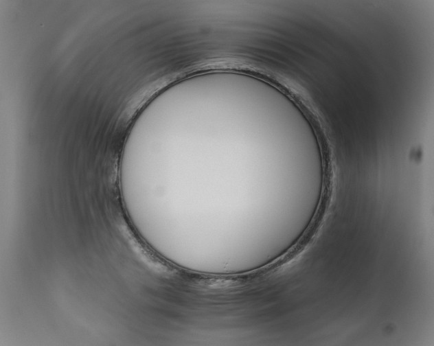 X0000110870841200906181008
