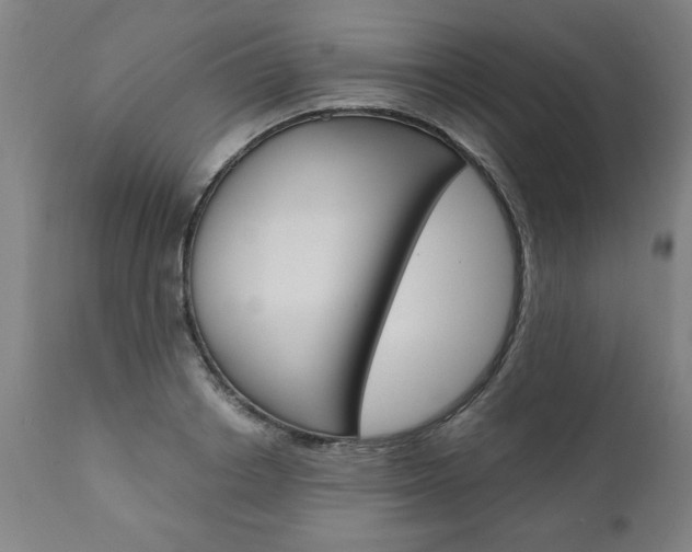 X0000110870842200906181008