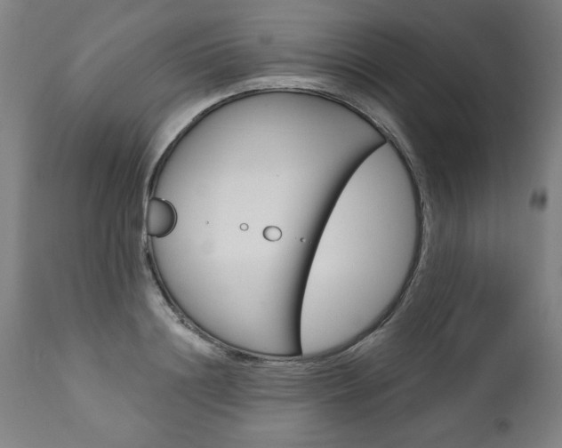X0000110870844200906181008