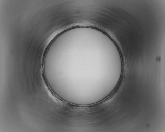 X0000110870845200906181008