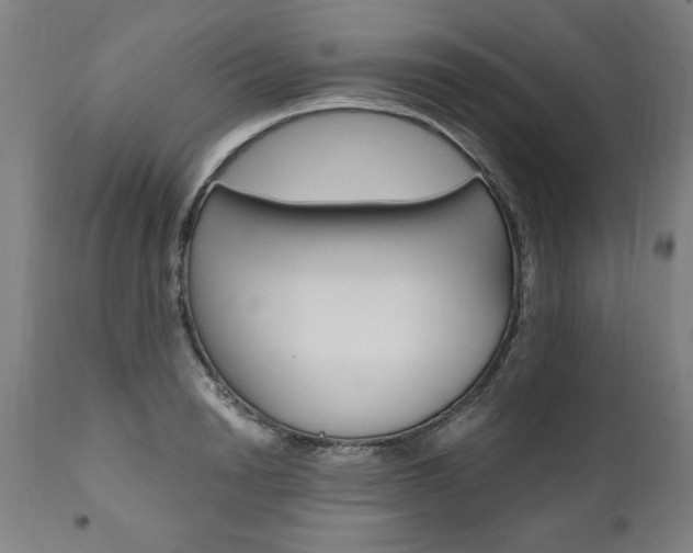 X0000110870846200906181008