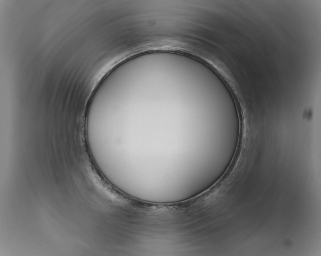 X0000110870850200906181008