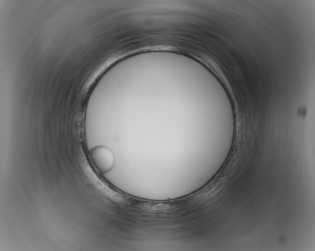 X0000110870851200906181008