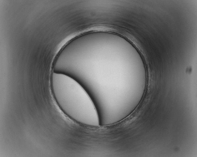 X0000110870853200906181008