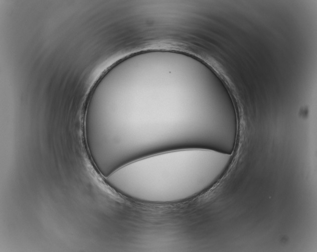 X0000110870854200906181008