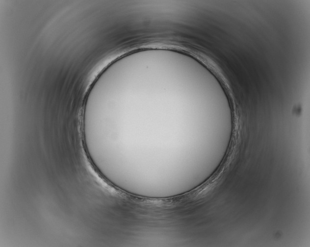 X0000110870855200906181008