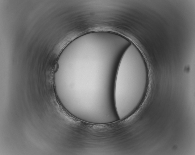X0000110870857200906181008