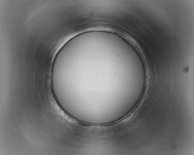 X0000110870860200906181008