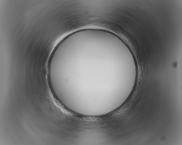 X0000110870862200906181008