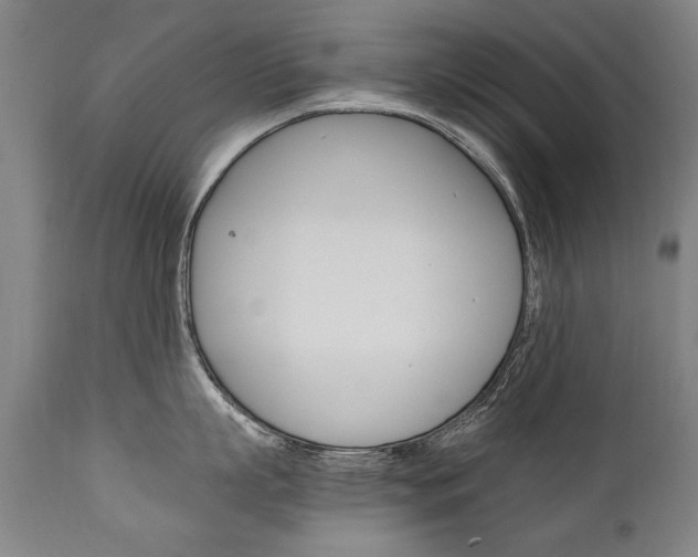 X0000110870863200906181008