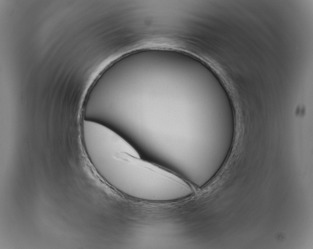 X0000110870864200906181008