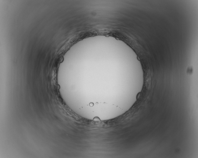 X0000110870866200906181007