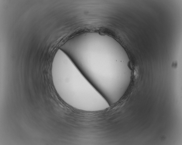 X0000110870867200906181007