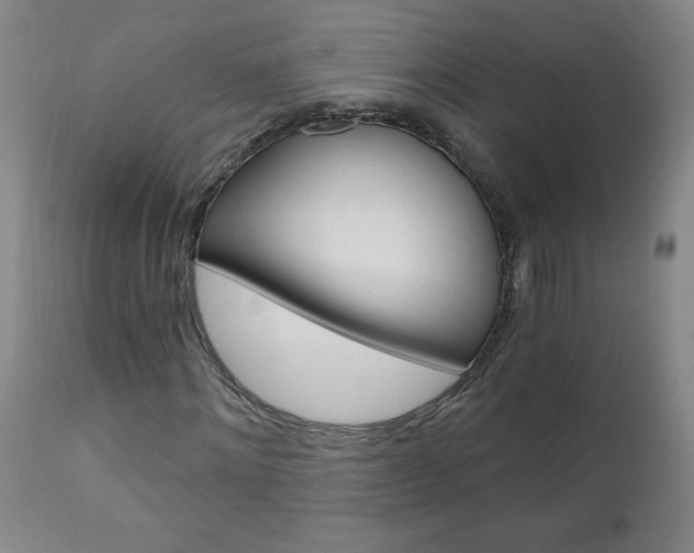 X0000110870868200906181007