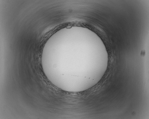X0000110870869200906181007