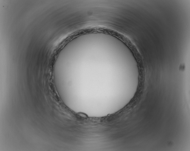 X0000110870871200906181007