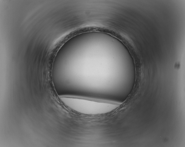 X0000110870872200906181007