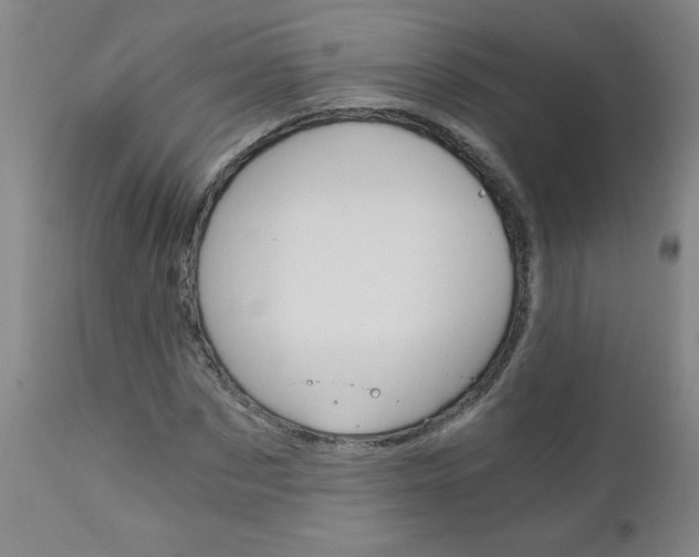 X0000110870873200906181007