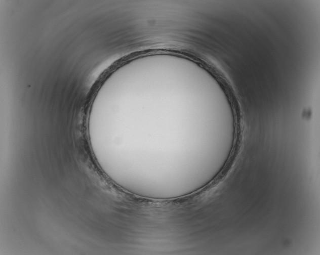 X0000110870875200906181007