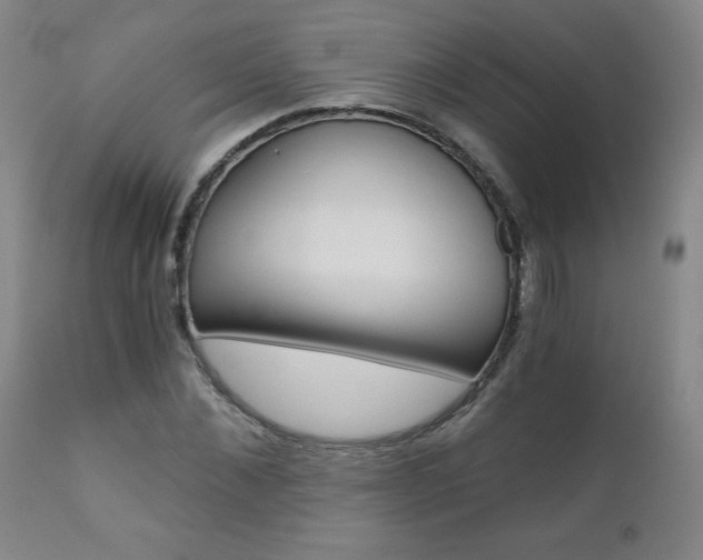 X0000110870876200906181007