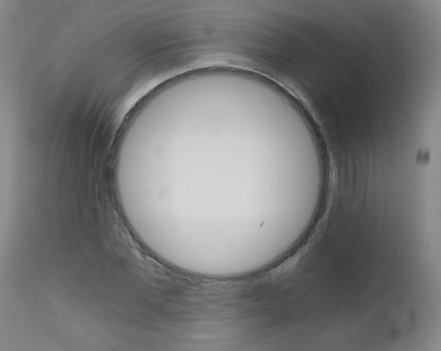 X0000110870877200906181007
