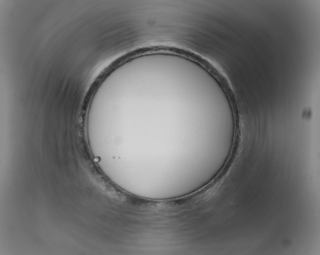 X0000110870879200906181007