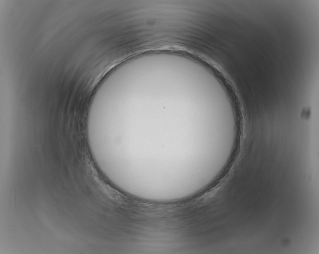 X0000110870881200906181007
