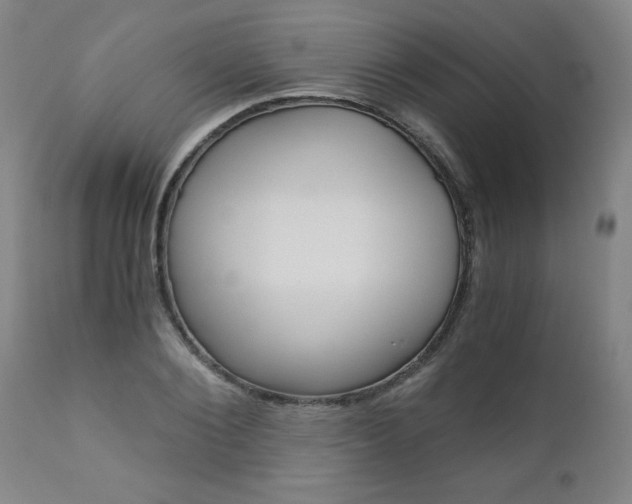 X0000110870884200906181007