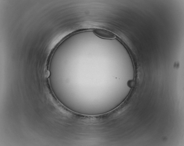 X0000110870885200906181007