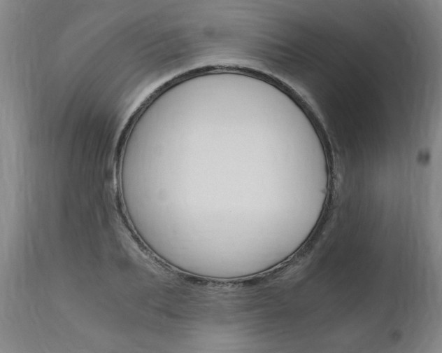 X0000110870887200906181007
