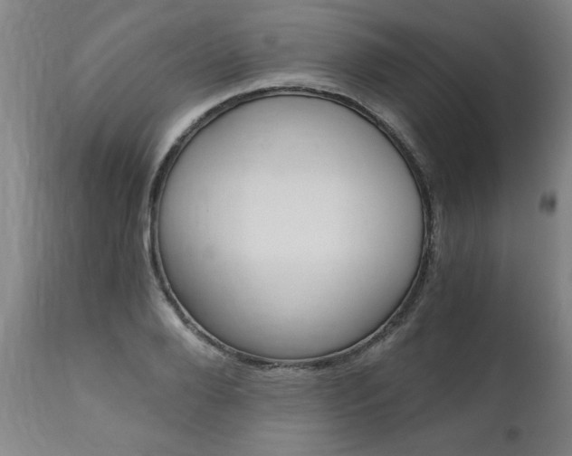 X0000110870888200906181007
