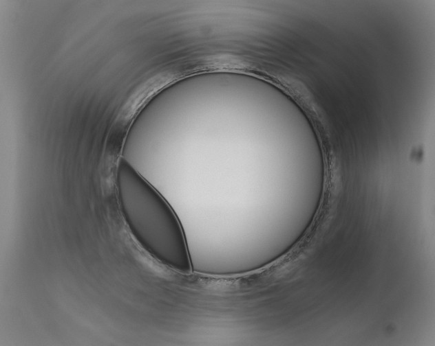 X0000110870889200906181007