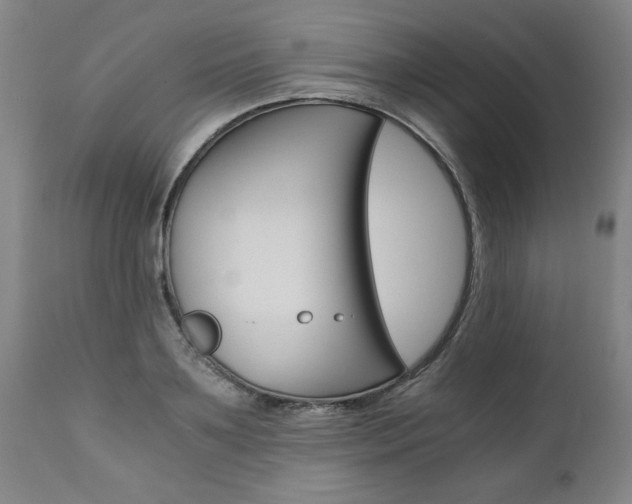 X0000110870891200906181007