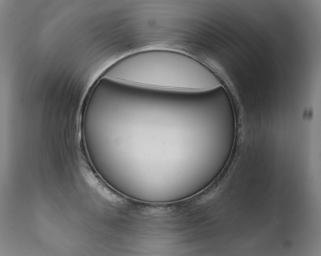 X0000110870892200906181007