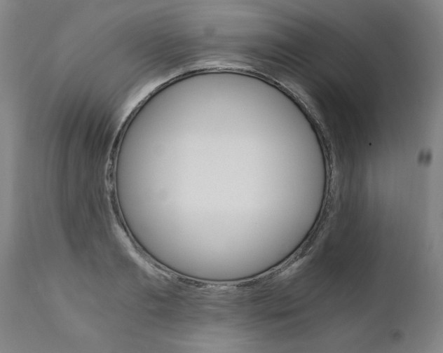 X0000110870893200906181007