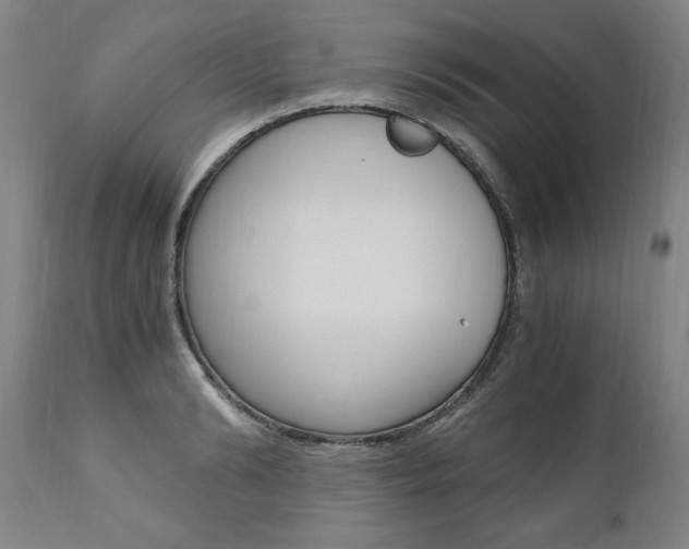 X0000110870894200906181007
