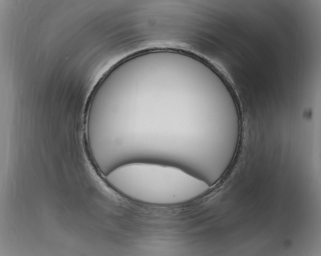 X0000110870895200906181007