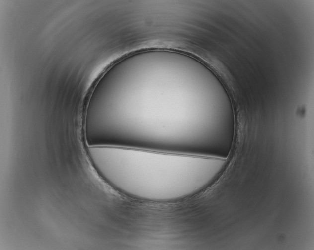 X0000110870896200906181007