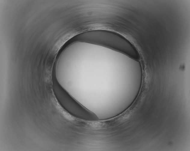 X0000110870897200906181007