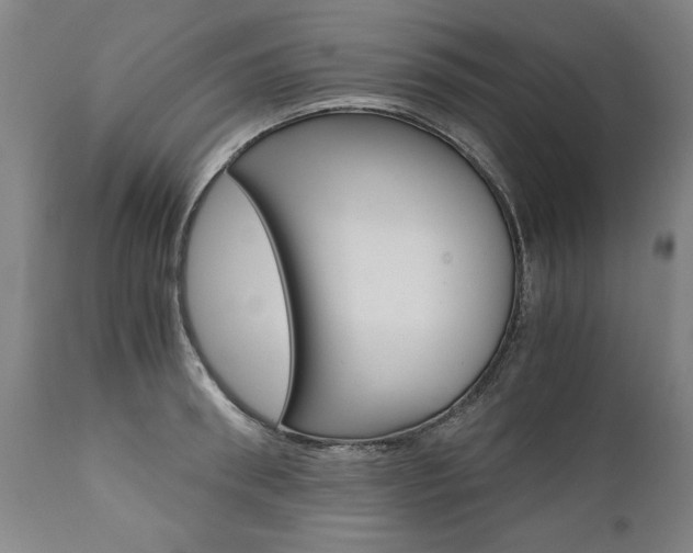 X0000110870898200906181007