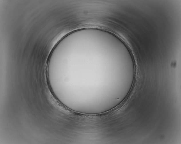 X0000110870899200906181007