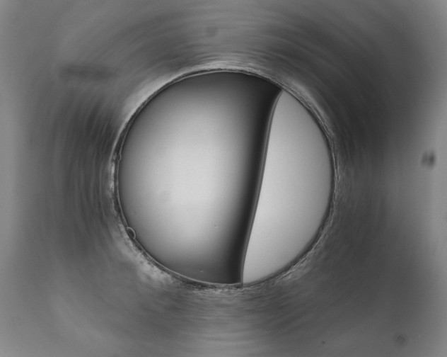 X0000110870900200906181007