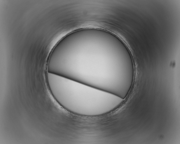 X0000110870901200906181007