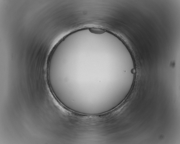 X0000110870902200906181007